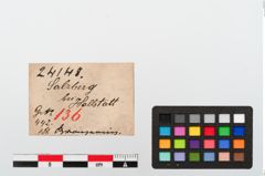 Etiketten zu Bronzering (NHMW-PRAE-024148)